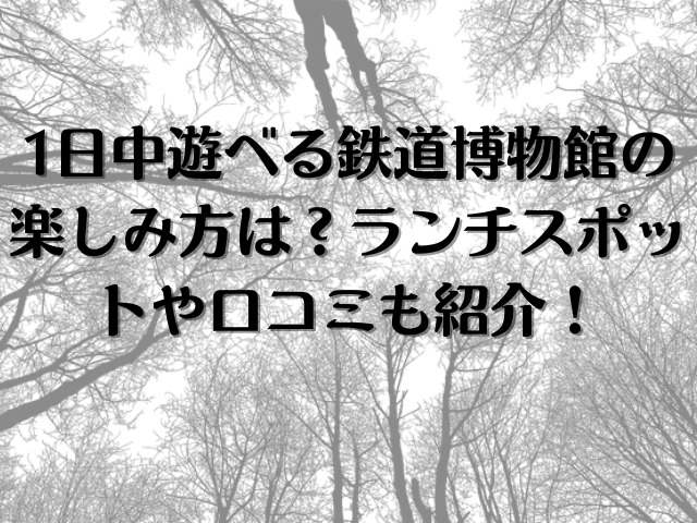 1日中遊べる鉄道博物館の楽しみ方は？ランチスポットや口コミも紹介！