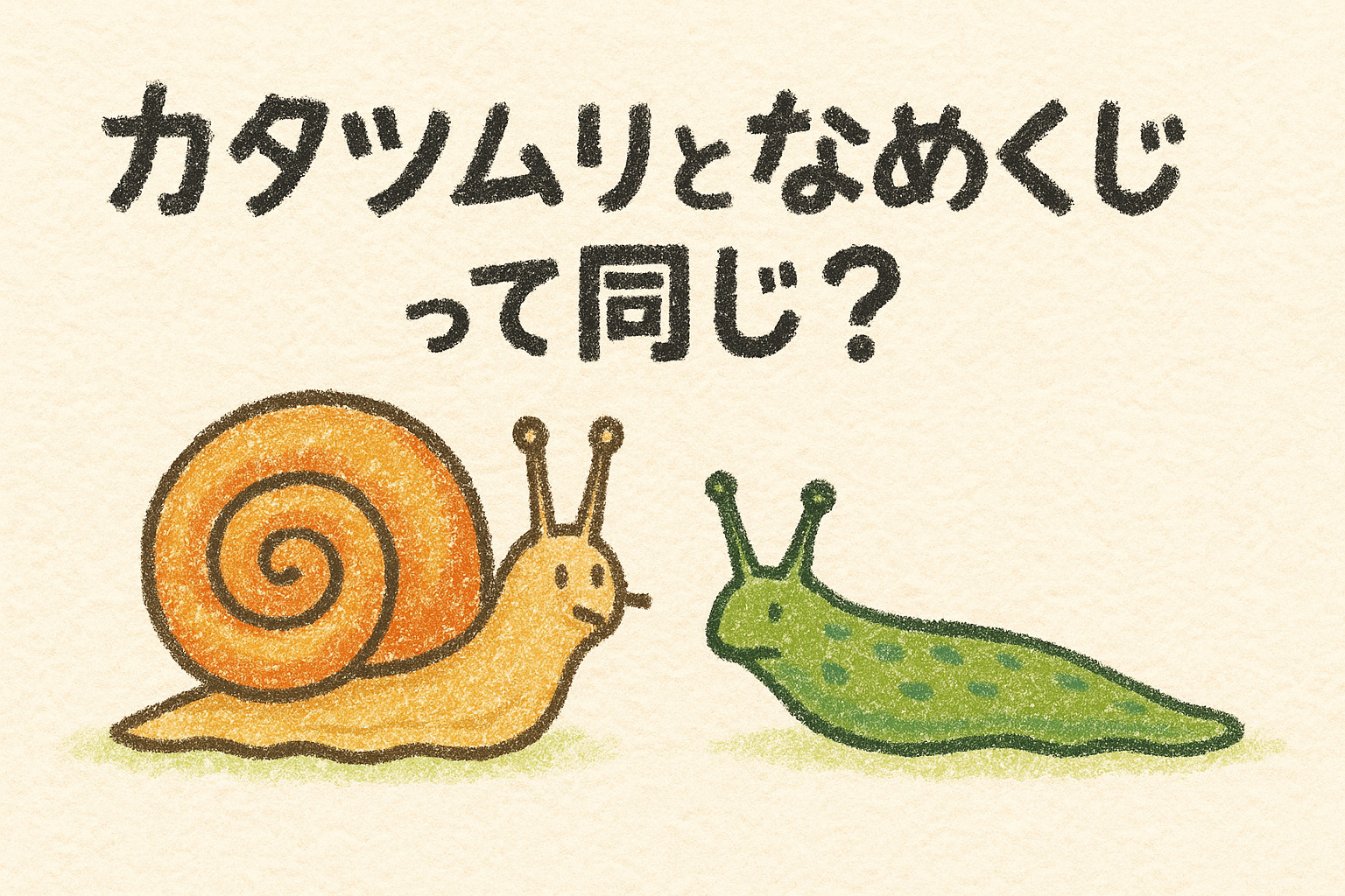 カタツムリとなめくじの違いは？進化の秘密と見分け方をやさしく解説！