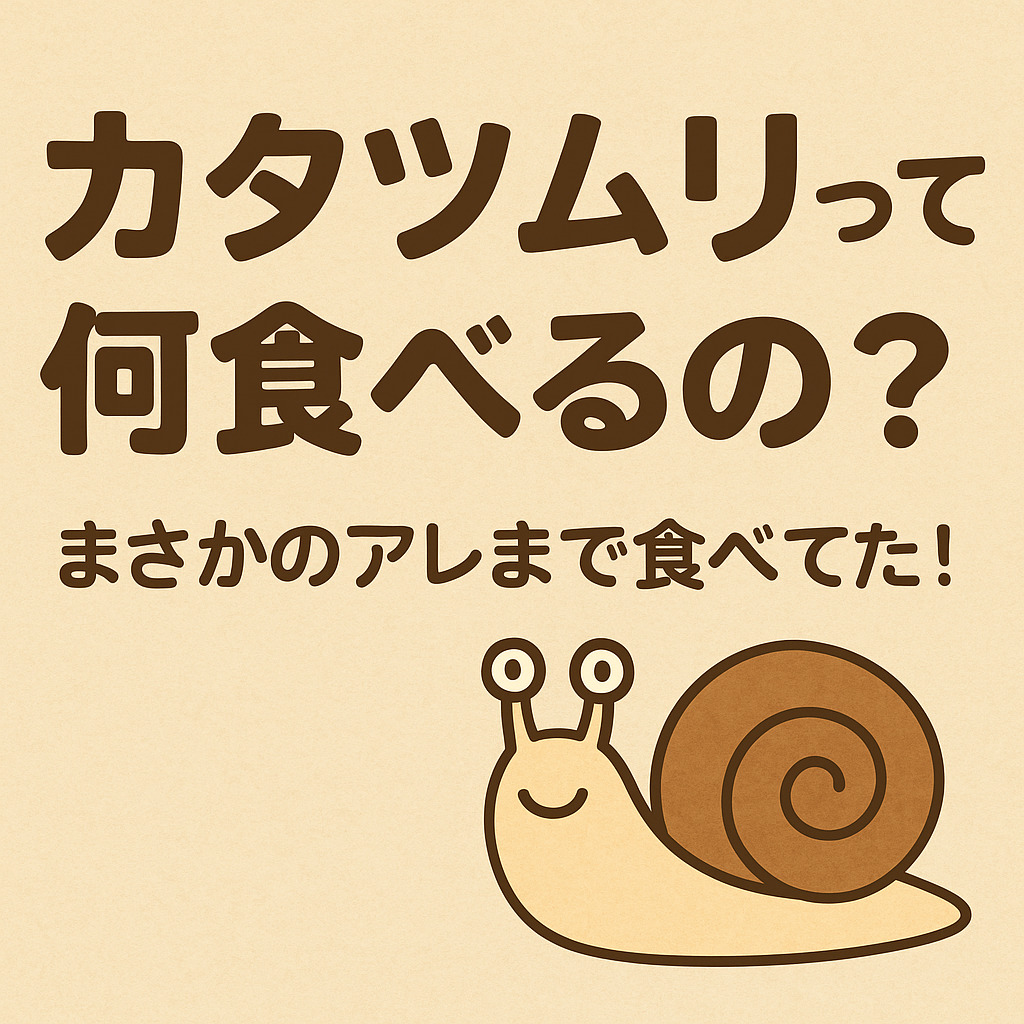 子どもに聞かれて答えられる？カタツムリの食べもの、実は奥が深い！