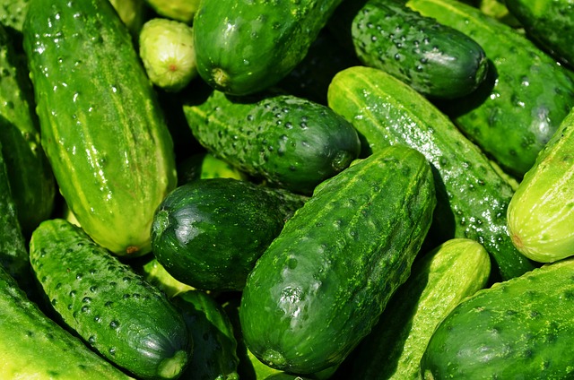グリーンスプーンの原材料は危険？中国産の真相と解約の注意点を徹底解説